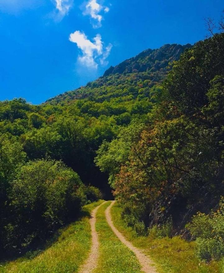 Apartmani Dumezic Bar Esterno foto