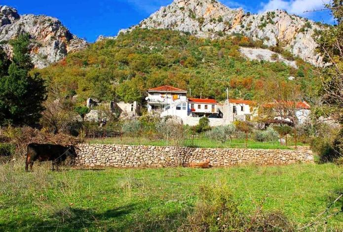 Apartmani Dumezic Bar Esterno foto