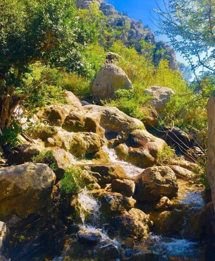 Apartmani Dumezic Bar Esterno foto