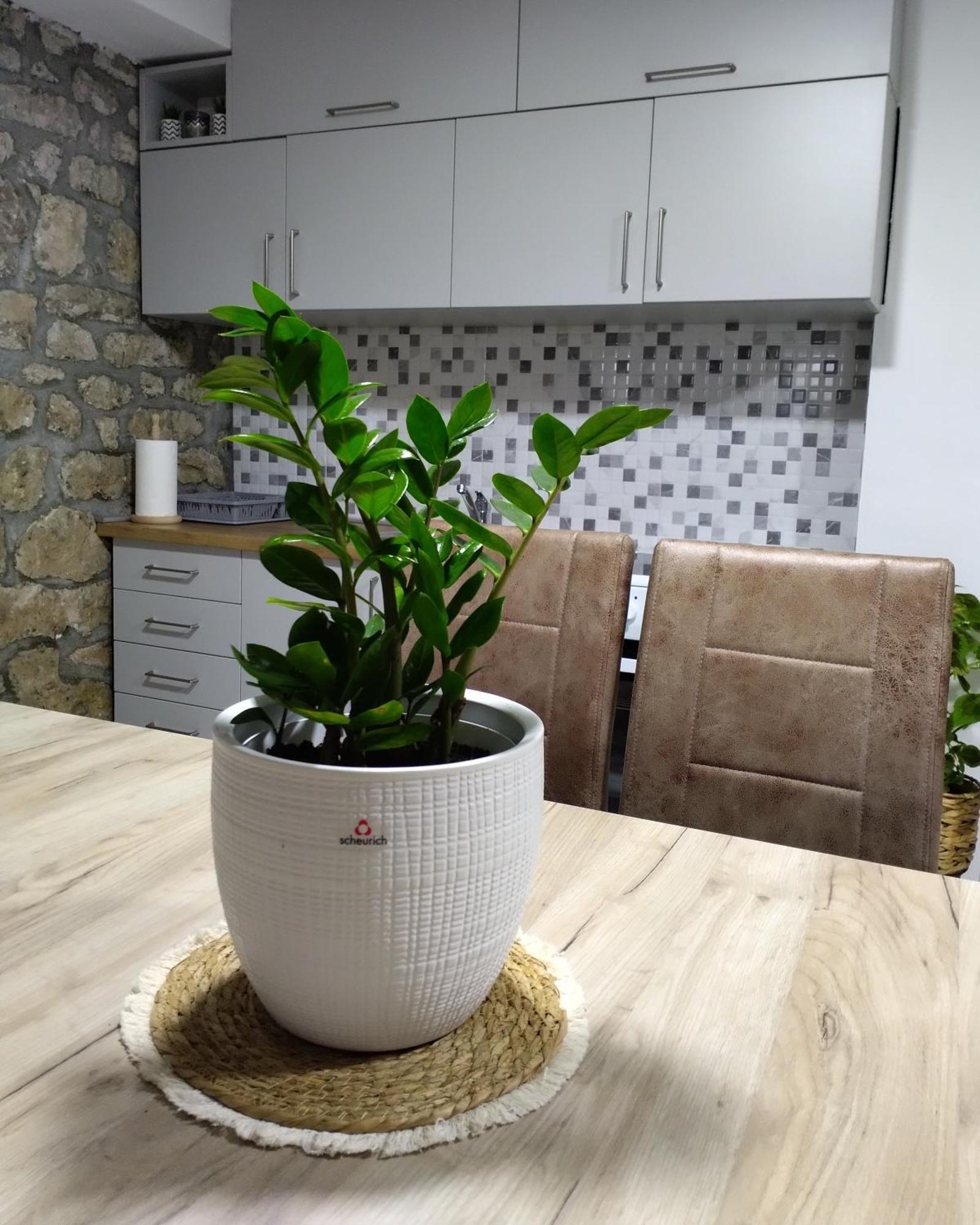 Apartmani Dumezic Bar Camera foto