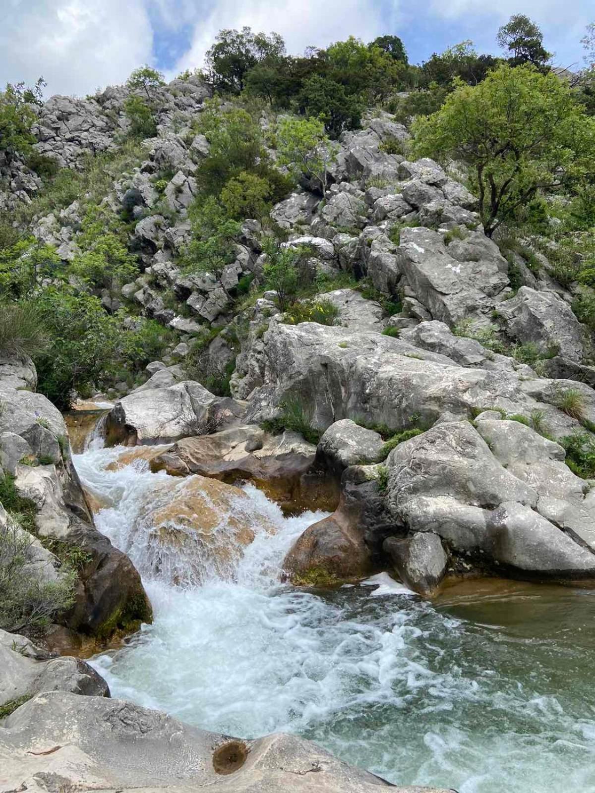 Apartmani Dumezic Bar Esterno foto