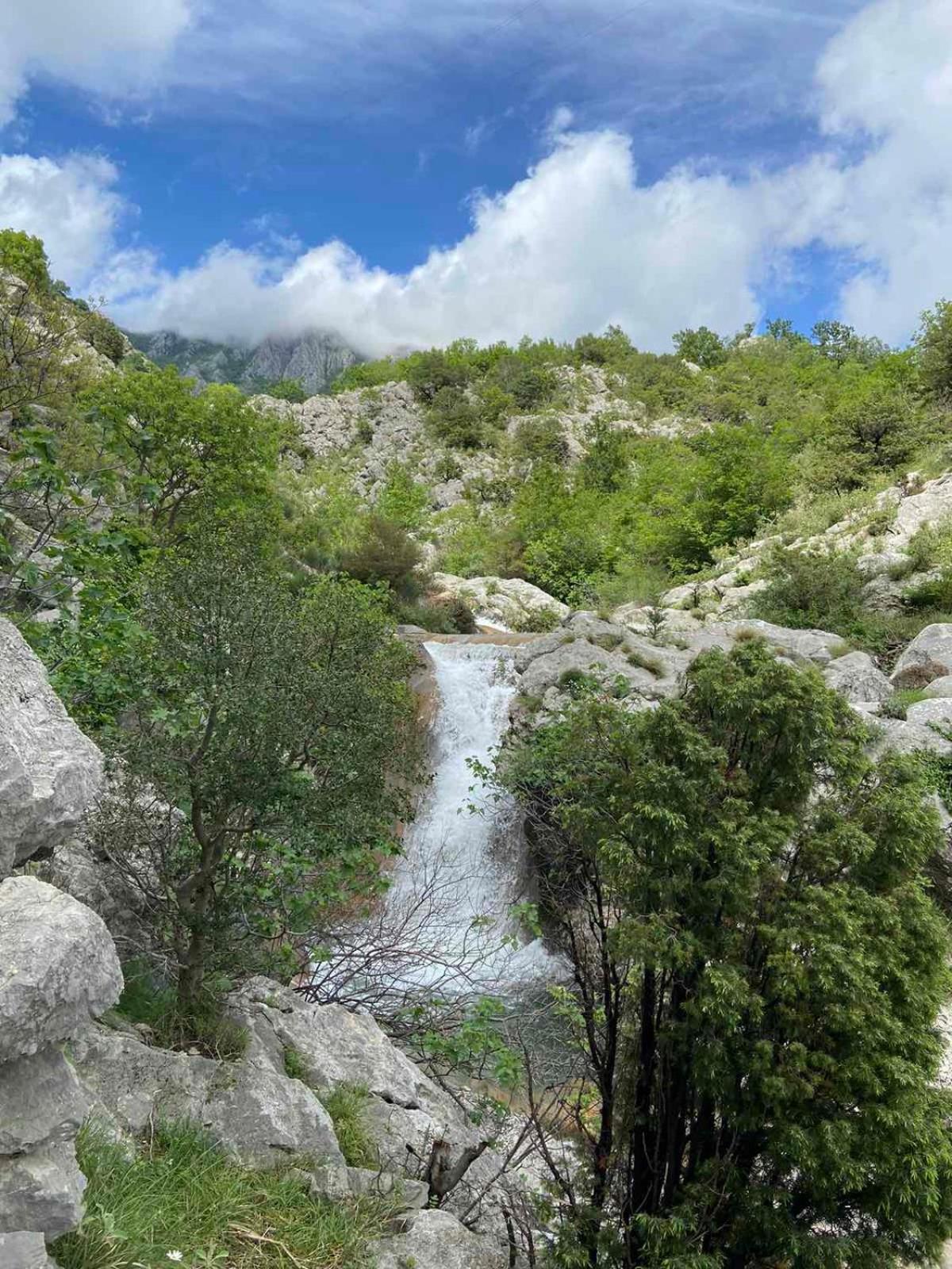 Apartmani Dumezic Bar Esterno foto