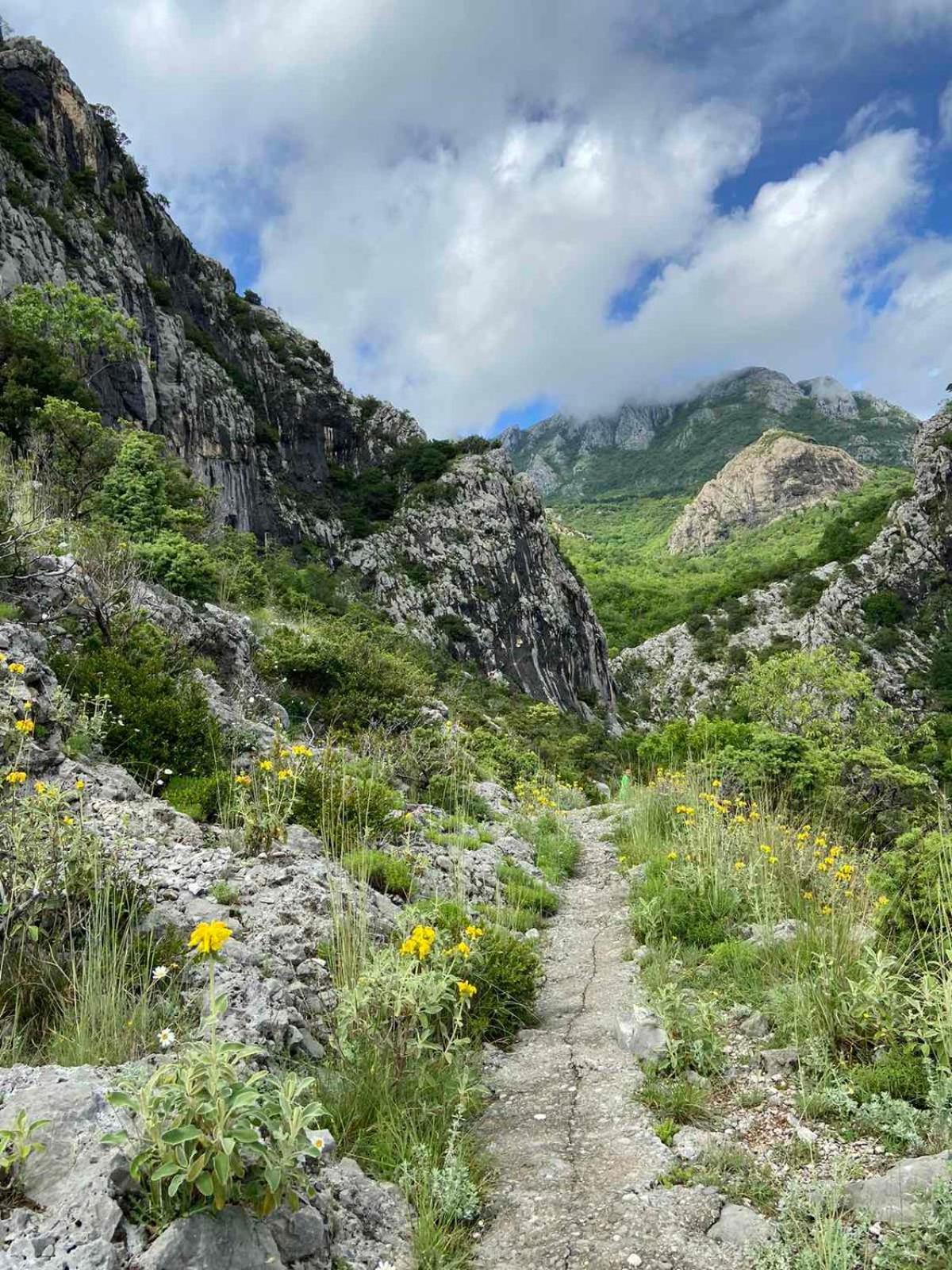 Apartmani Dumezic Bar Esterno foto
